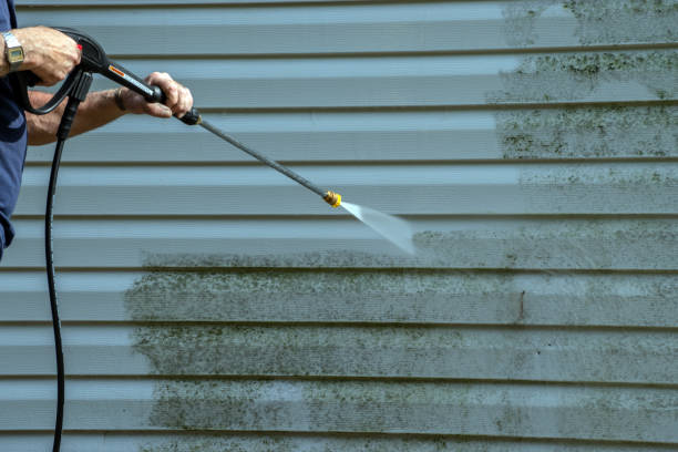 Best Sidewalk and Walkway Cleaning  in Wfield, IN